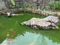 -燊海井