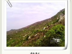 -南丫岛