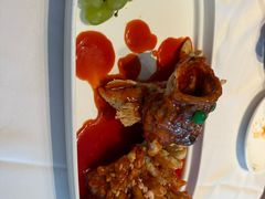 松鼠桂鱼-松鹤楼(狮山永利广场店)