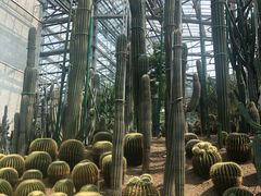 -南山植物园
