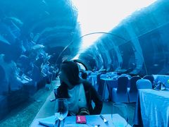 -海棠湾洲际-涛·海底餐厅·美人鱼·自助餐·海底隧道