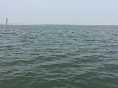 -碧海金沙