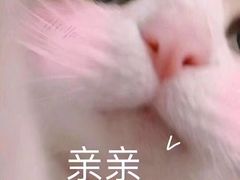 -味一早餐(新芝路店)