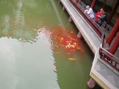 -龙潭水乡