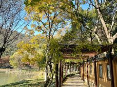 -八卦田遗址公园