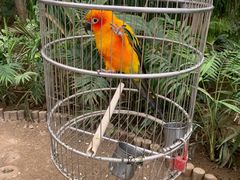 -南宫五洲植物乐园