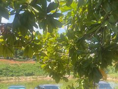 -耕渔小院·湖南鱼鲜(望城店)