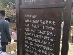-桃花堤公园