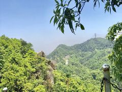 -南山植物园