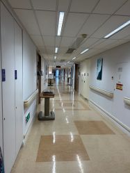 -杭州贝瑞斯美华妇儿医院·早孕·产检·儿科