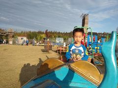 -上海长兴岛郊野公园