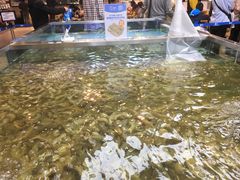 -盒马鲜生(宝地店)