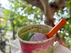-Dip in Gelato(富民路店)