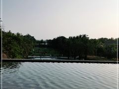 -三亚国光豪生度假酒店-椰语堂(国光豪生店)