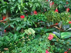 -秦美花卉(天朗·莱茵小城2期店)