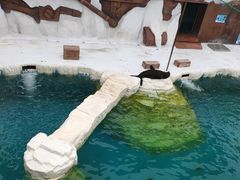 -秦皇岛乐岛海洋王国