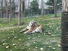 -北京野生动物园