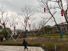 -黄贤森林公园