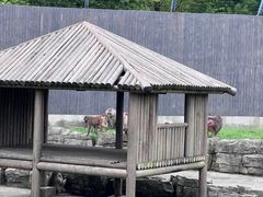 -上方山森林动物世界
