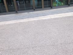 -浩运·海鲜青岛菜·海胆水饺(石老人店)