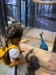 -酷嗒动物文化乐园(cutezoo西溪乐天城店)