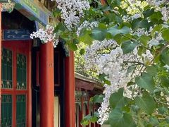 -中国科学院大学雁栖湖校区图书馆