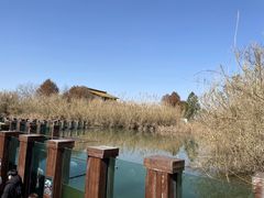 -宁波杭州湾国家湿地公园