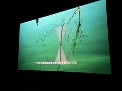 -上海当代艺术博物馆