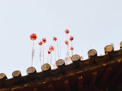 -建水文庙