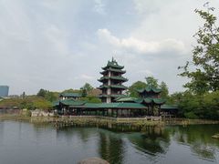 -桂湖森林公园