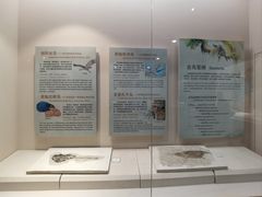-辽宁古生物博物馆