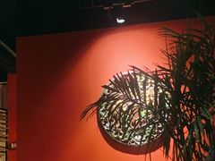 -泰国餐厅 Thai Food(裕华万达店)