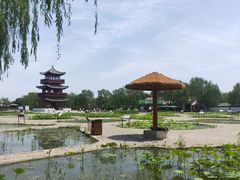 -白洋淀风景区