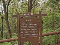 -阳台山自然风景区