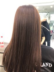 -YESIDO椰岛造型