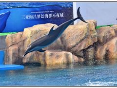 -三亚海昌梦幻海洋不夜城