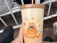 -沈阳方特欢乐世界