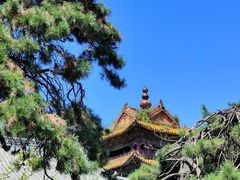 -北陵公园