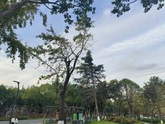 -昆山城市公园