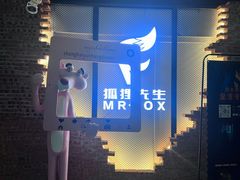 -Mr.Fox狐狸先生超级密室(南山店)