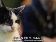 -博纳国际影城(乐和城店)
