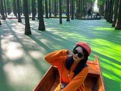 -渌洋湖湿地公园