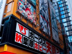 -秋叶原电器街