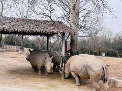 -西安秦岭野生动物园