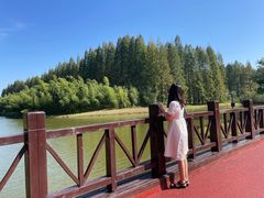 -黄海国家森林公园