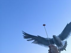 -星海广场