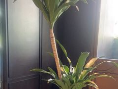 -徐记海鲜(观沙岭|滨江新城店)