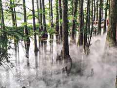 -东湖落雁景区