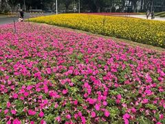 -海心沙亚运公园