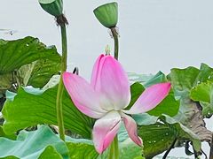 -江南大学(蠡湖校区)